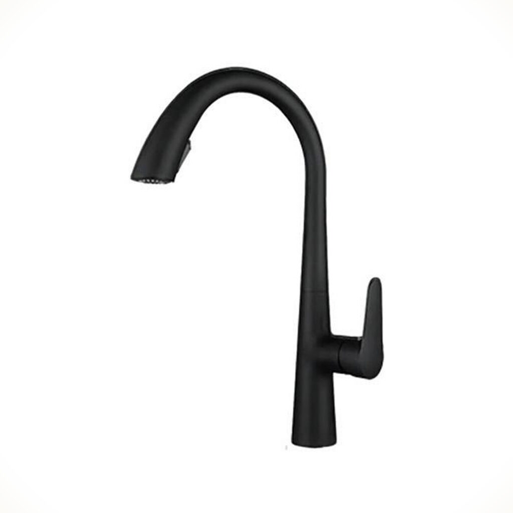 Black Pull-out Kitchen Faucet